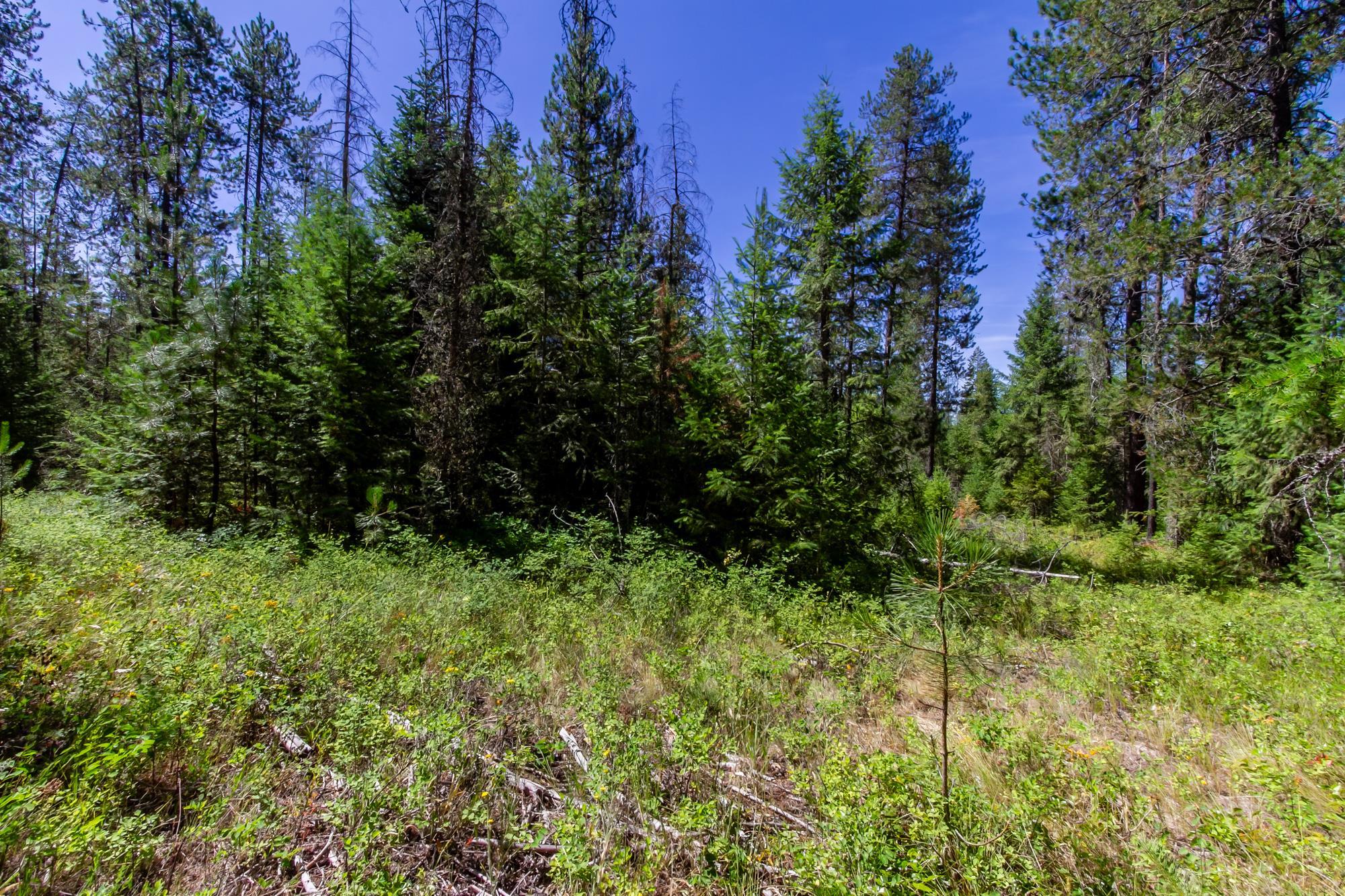 2443 Eagle-Lambert Road Chewelah, WA 99109 - Photo 20 of 26