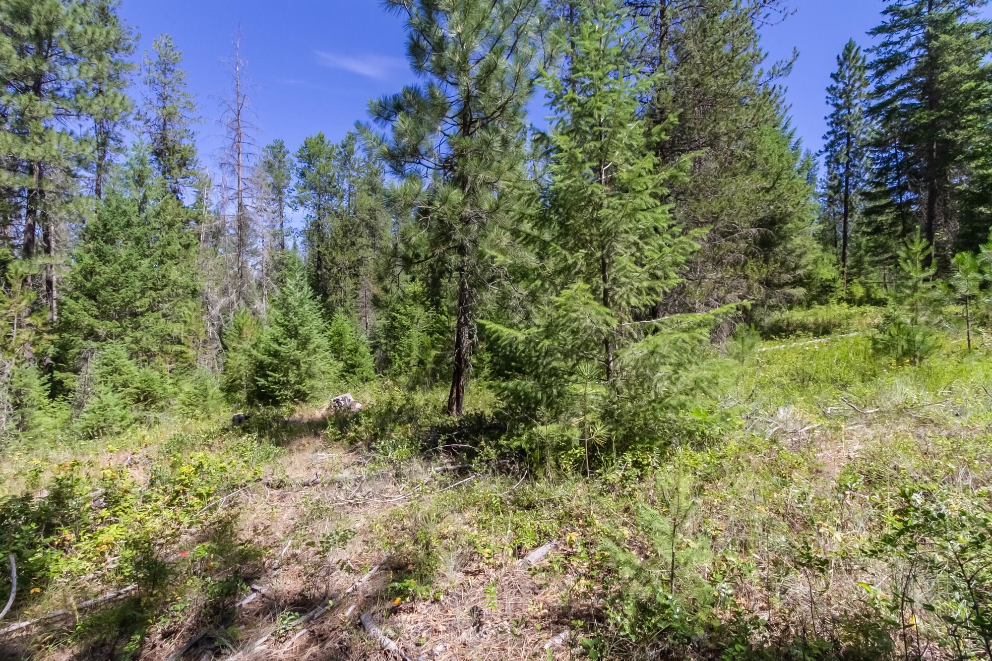 2443 Eagle-Lambert Road Chewelah, WA 99109 - Photo 23 of 26