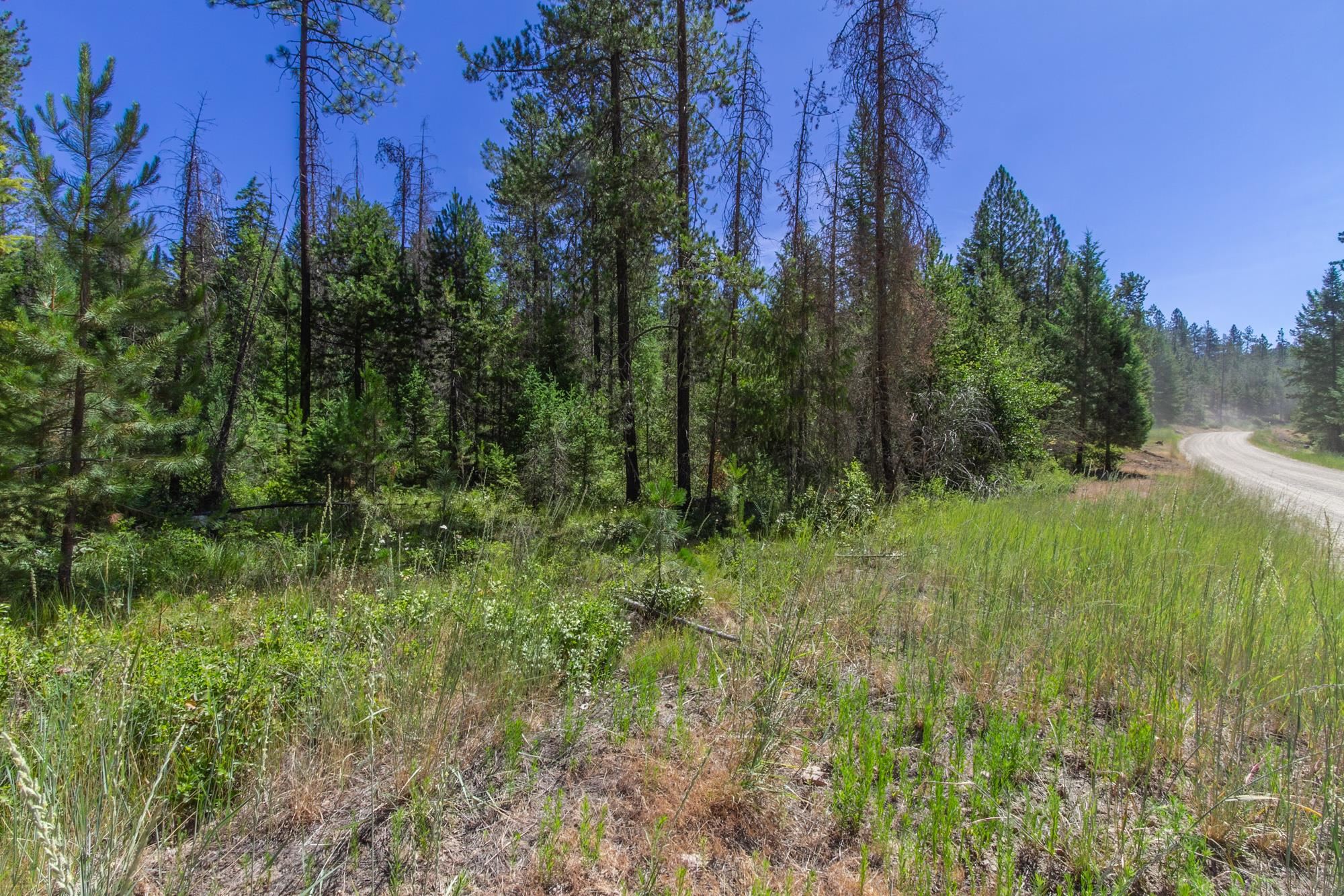 2443 Eagle-Lambert Road Chewelah, WA 99109 - Photo 24 of 26