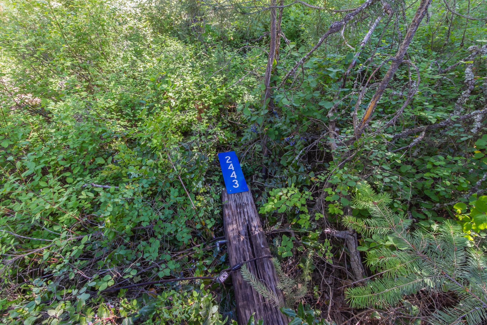 2443 Eagle-Lambert Road Chewelah, WA 99109 - Photo 26 of 26