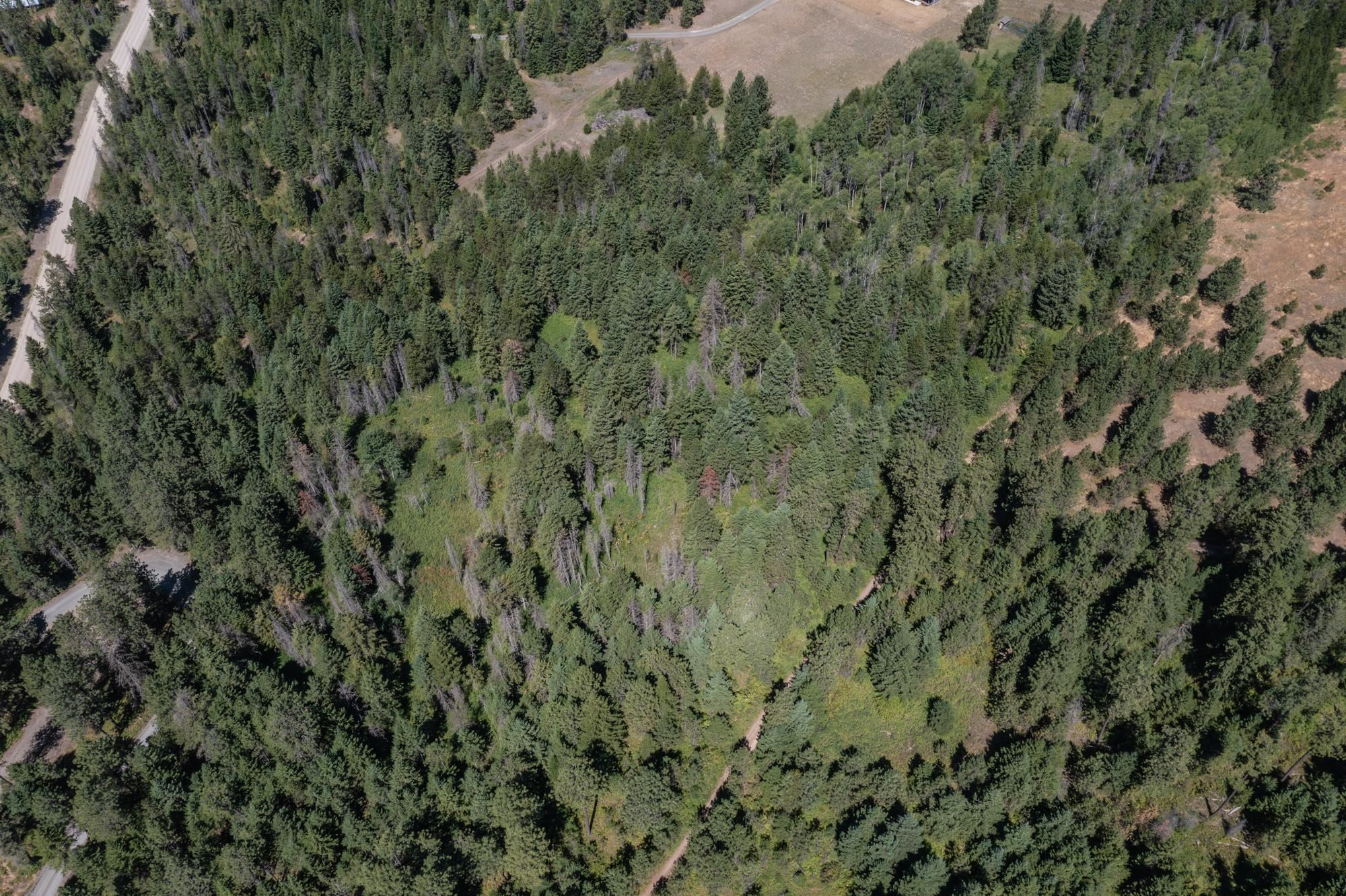 2443 Eagle-Lambert Road Chewelah, WA 99109 - Photo 7 of 26