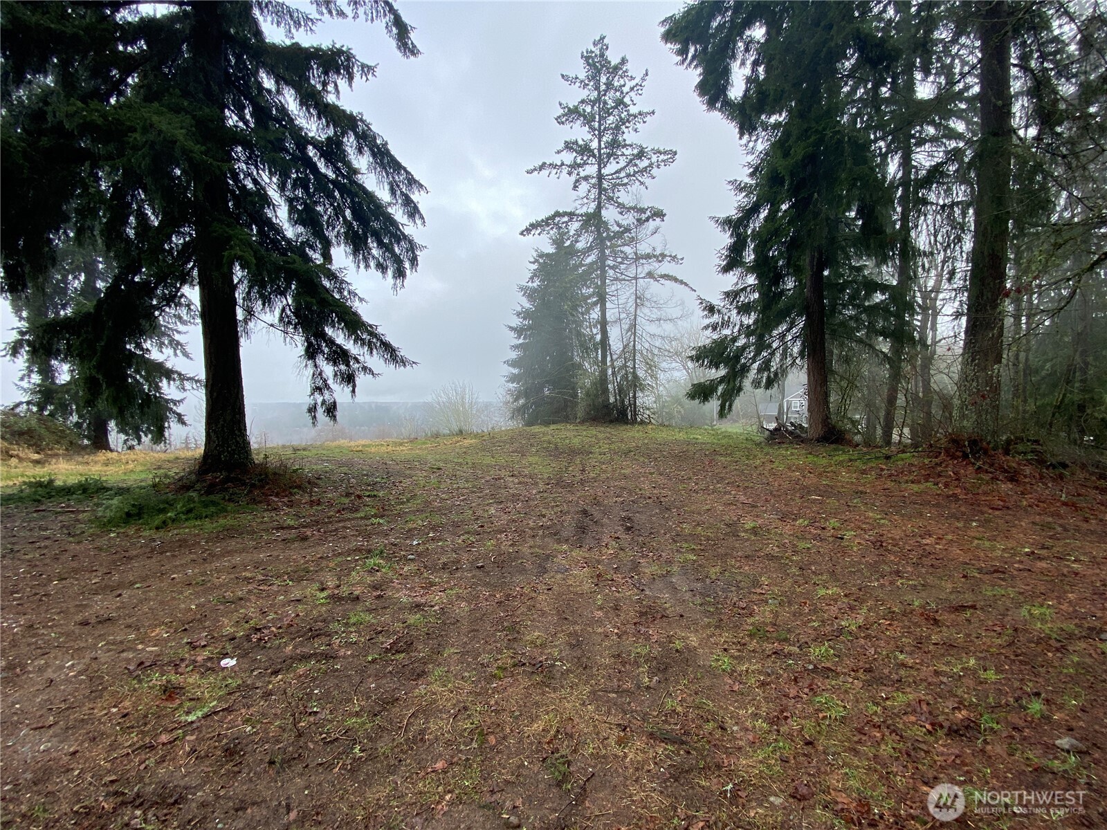 0 238th Avenue East Buckley, WA 98321 - Photo 11 of 31 a view of a yard with a tree
