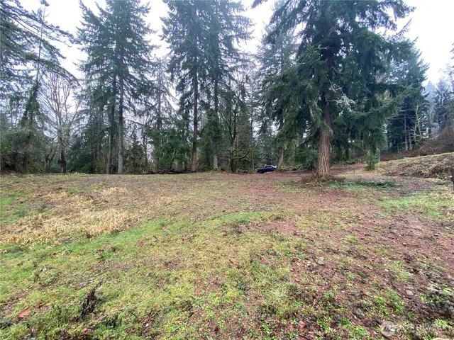a view of a field with trees in the background