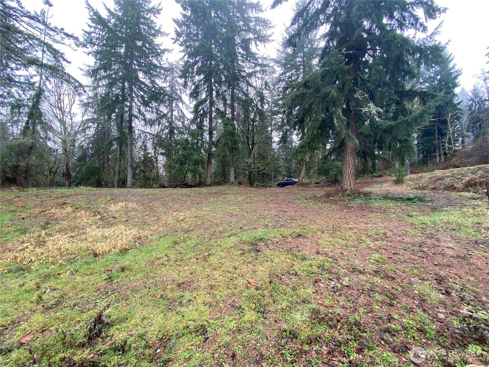 0 238th Avenue East Buckley, WA 98321 - Photo 12 of 31 a view of a field with trees in the background