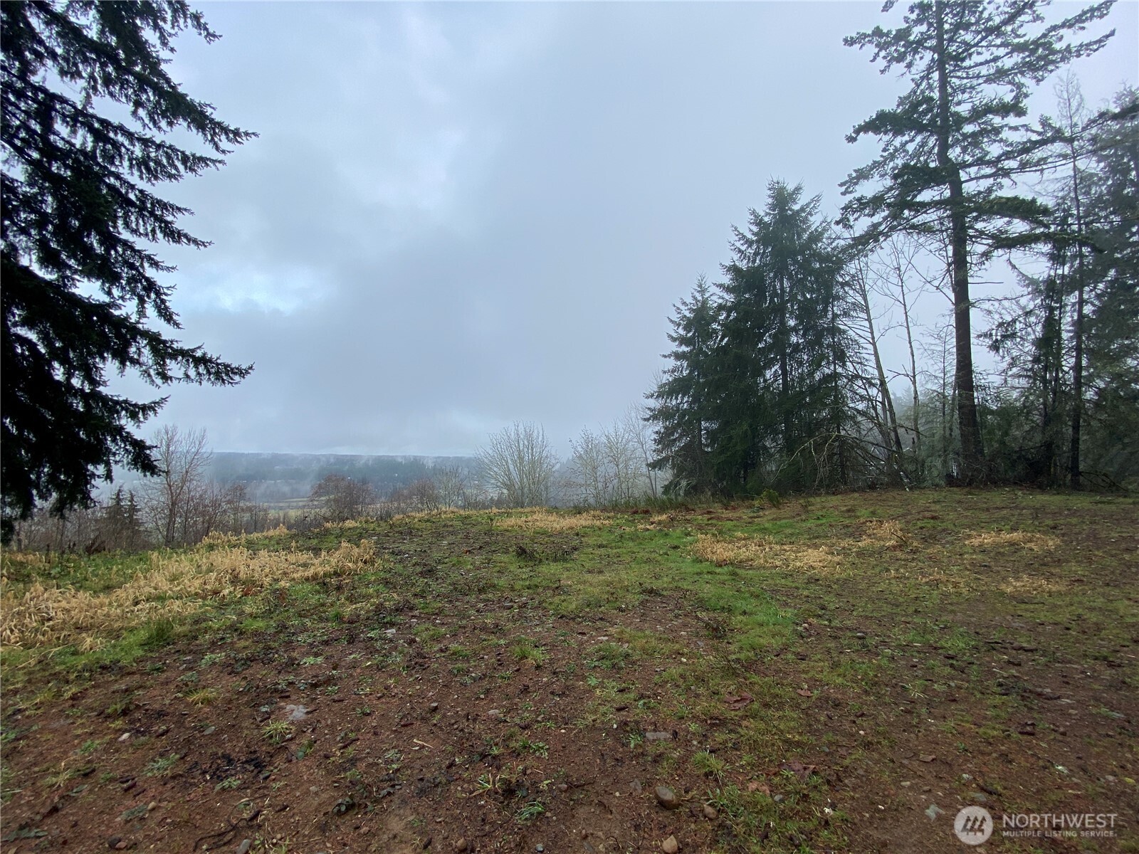 0 238th Avenue East Buckley, WA 98321 - Photo 13 of 31 a view of a field with trees