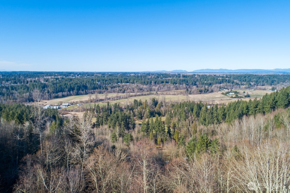 0 238th Avenue East Buckley, WA 98321 - Photo 14 of 31 a view of a lake with a yard