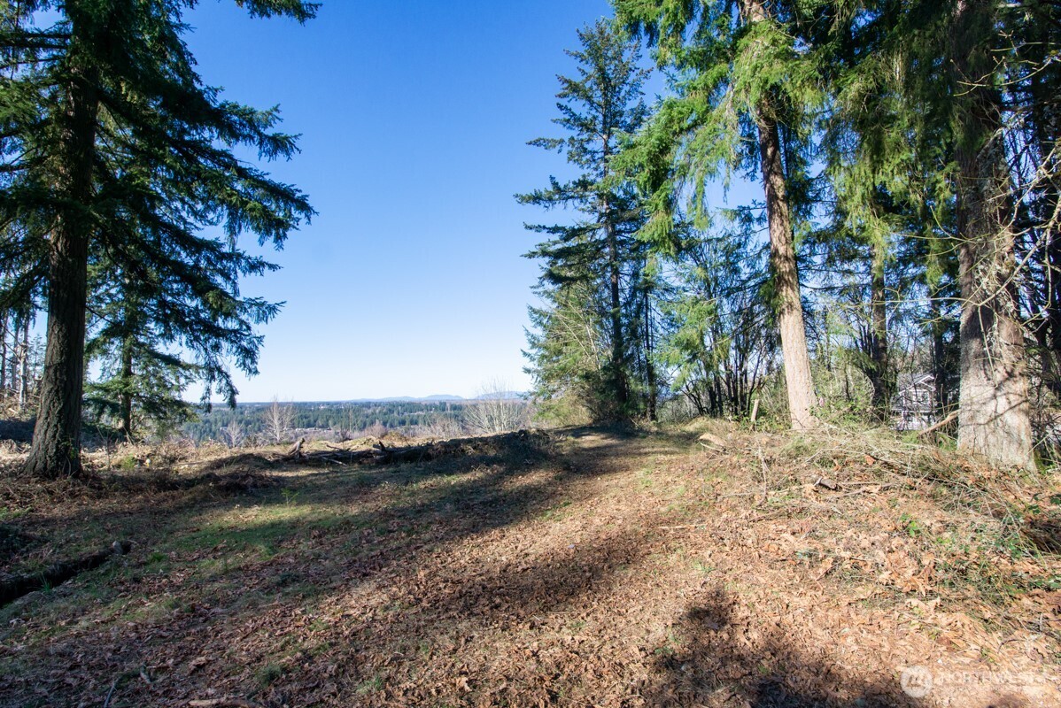 0 238th Avenue East Buckley, WA 98321 - Photo 2 of 31 a view of dirt yard with a large tree