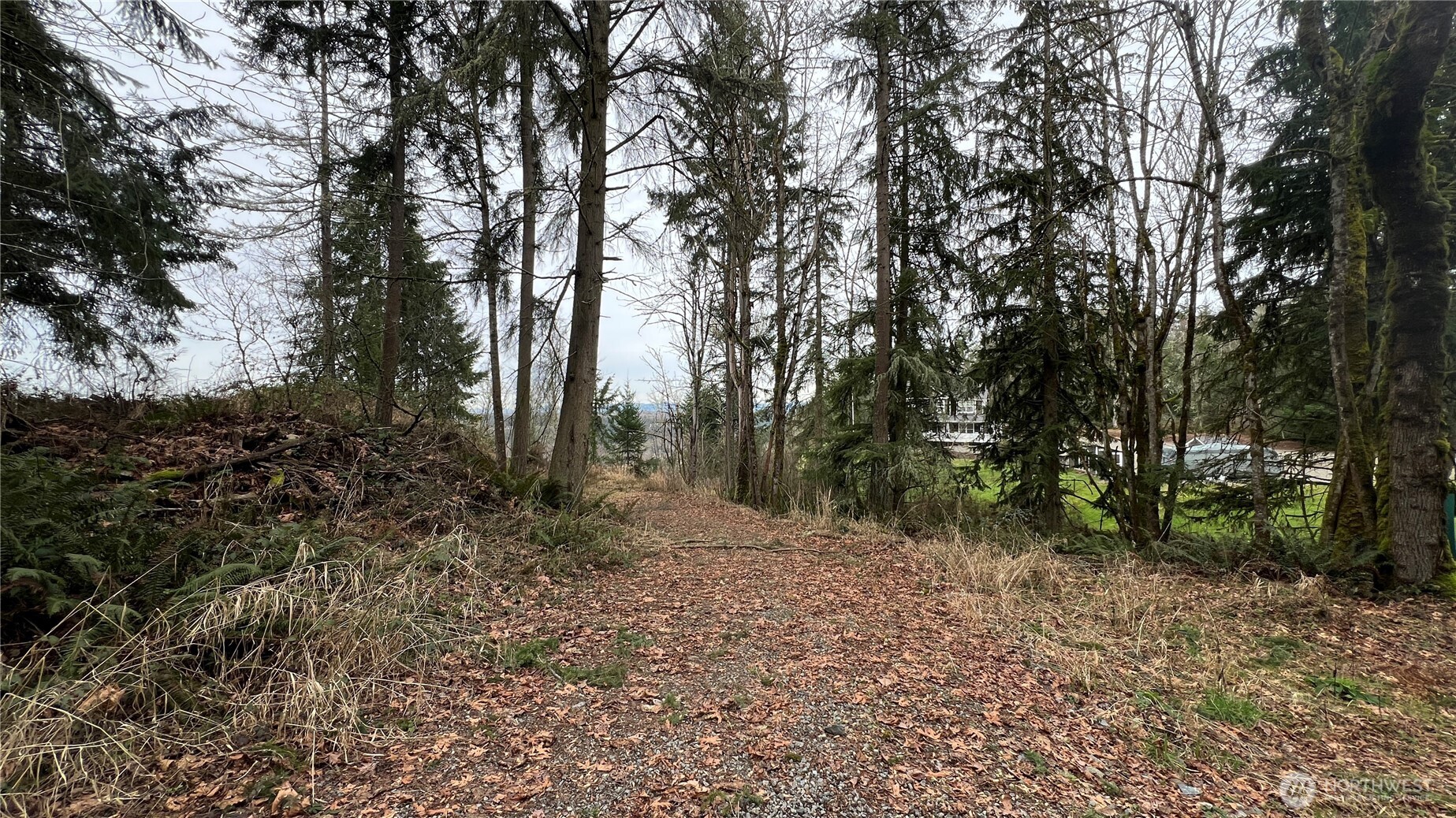 0 238th Avenue East Buckley, WA 98321 - Photo 22 of 31 a view of outdoor space and trees