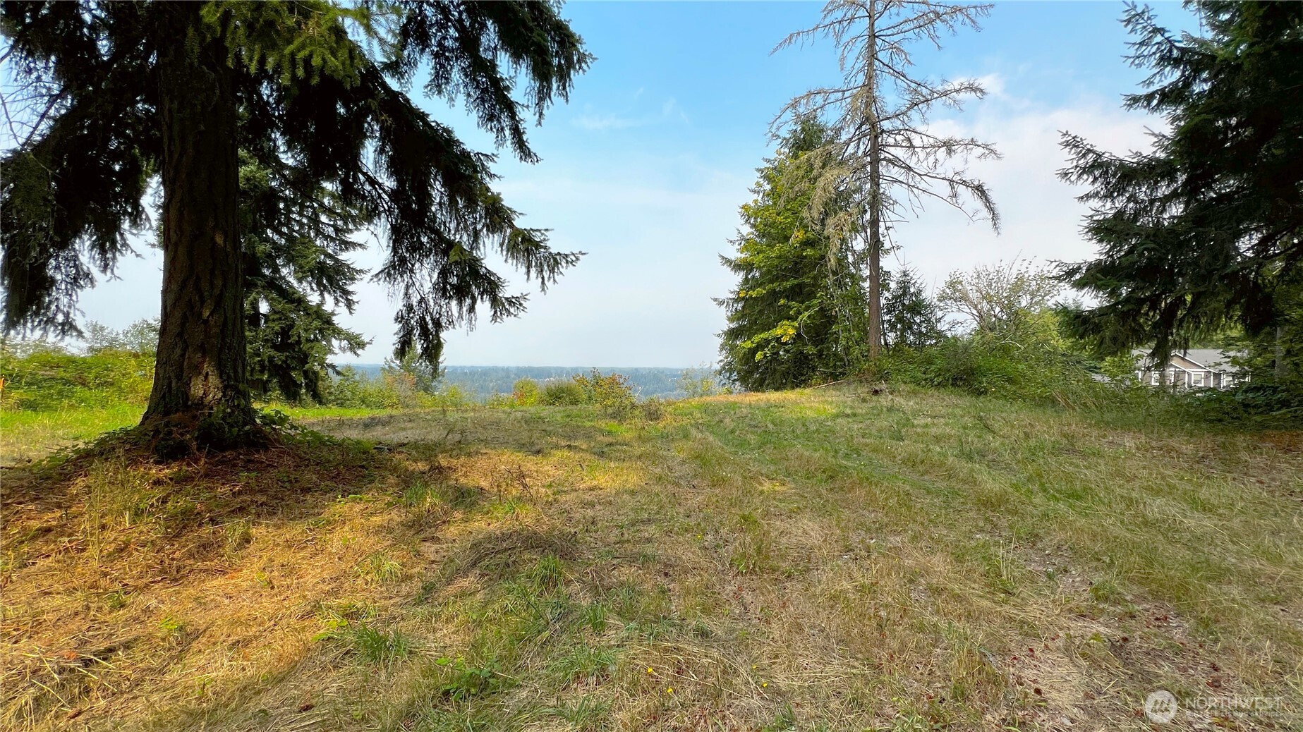0 238th Avenue East Buckley, WA 98321 - Photo 25 of 31 a view of a yard with a tree