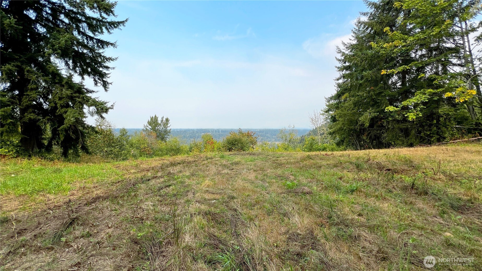 0 238th Avenue East Buckley, WA 98321 - Photo 26 of 31 a view of a field with an trees