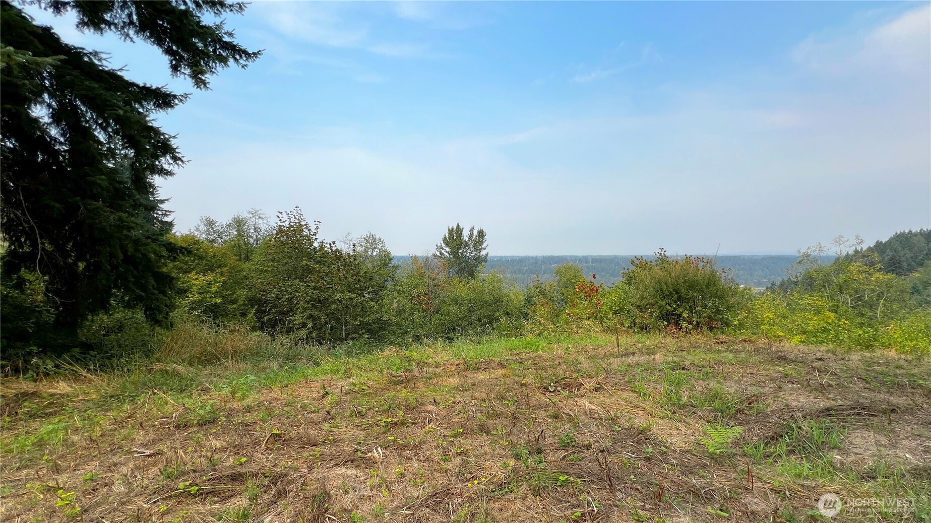 0 238th Avenue East Buckley, WA 98321 - Photo 27 of 31 a view of a field of grass and trees
