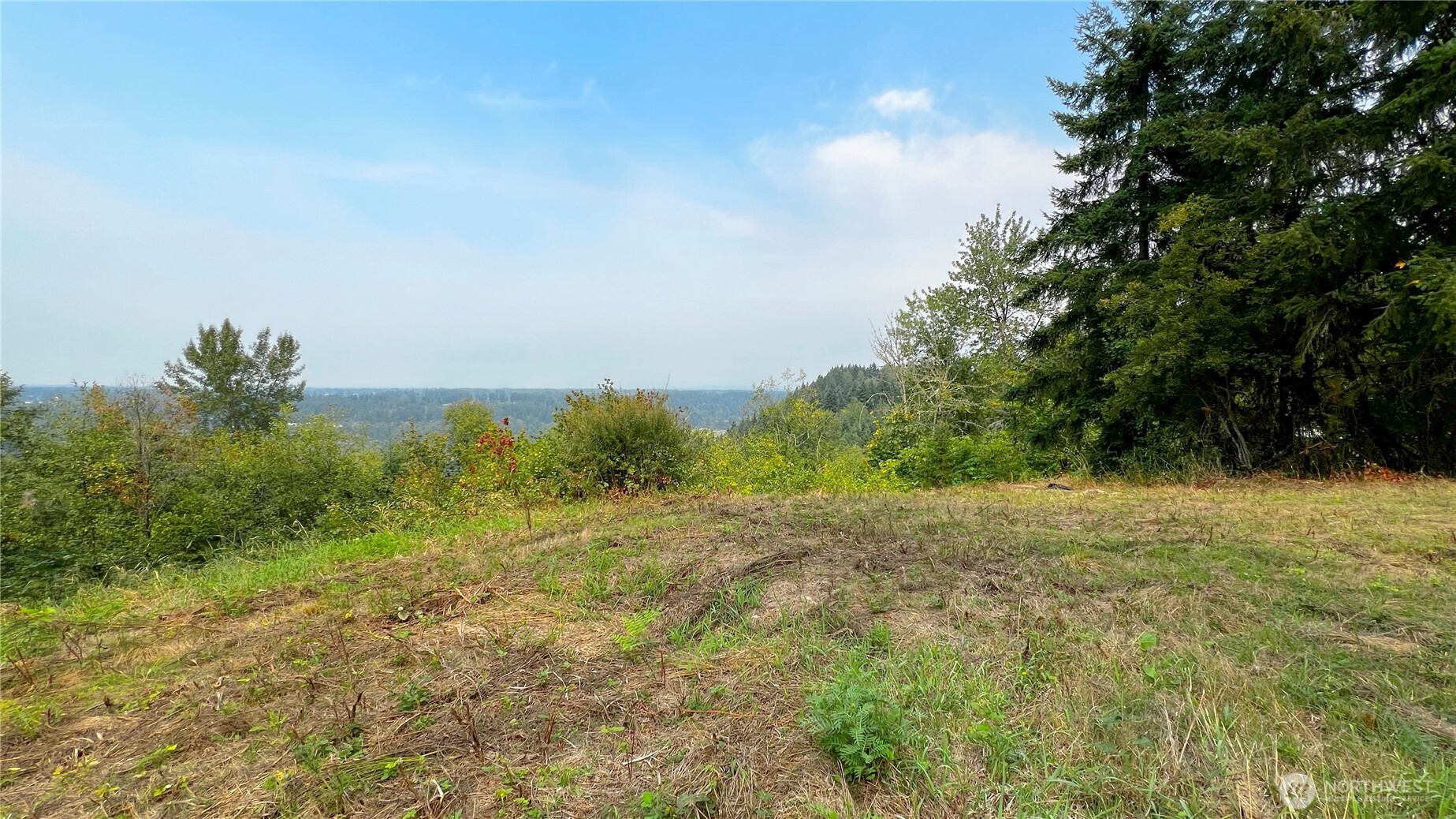 0 238th Avenue East Buckley, WA 98321 - Photo 28 of 31 a view of an outdoor space with trees all around