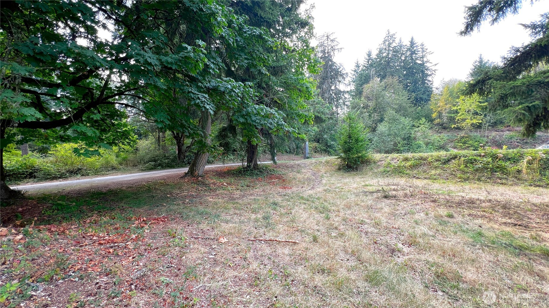 0 238th Avenue East Buckley, WA 98321 - Photo 29 of 31 a view of a forest with trees in the background
