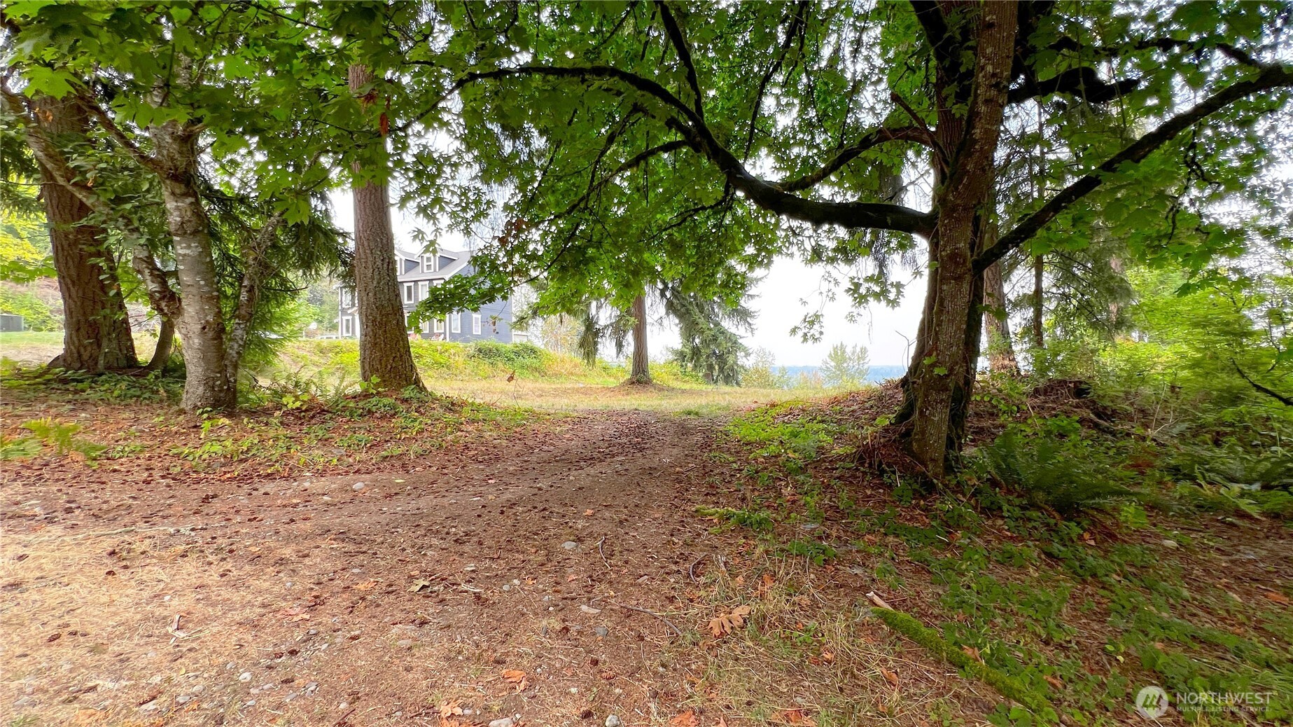 0 238th Avenue East Buckley, WA 98321 - Photo 30 of 31 a view of back yard