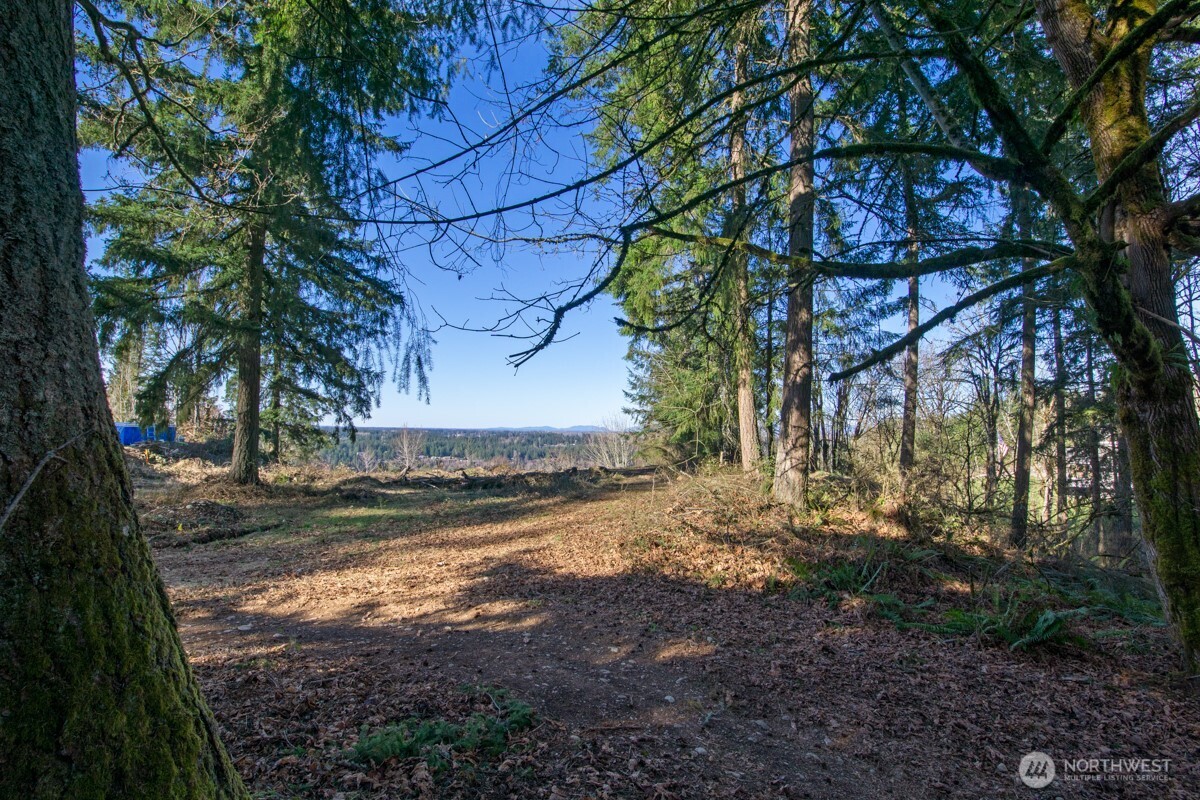 0 238th Avenue East Buckley, WA 98321 - Photo 3 of 31 a view of a yard with plants and trees