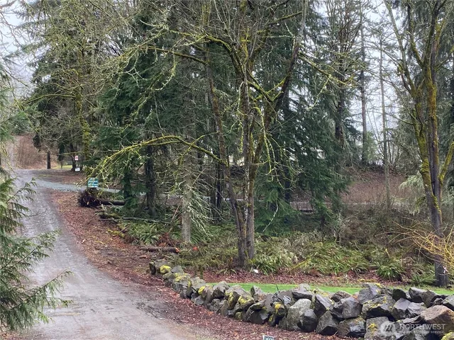 a view of a forest with trees