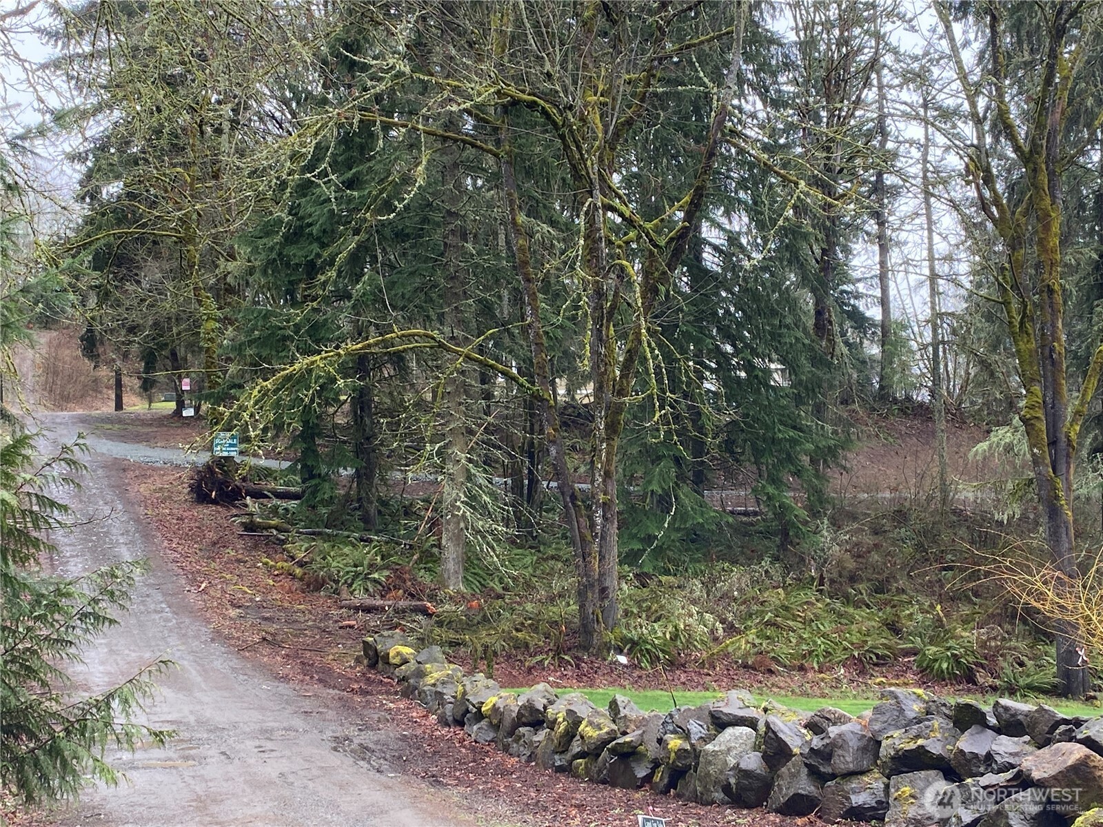 0 238th Avenue East Buckley, WA 98321 - Photo 5 of 31 a view of a forest with trees
