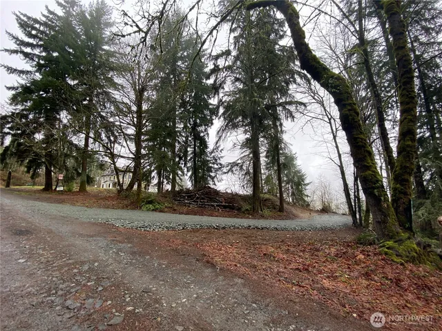 a view of dirt yard with a trees