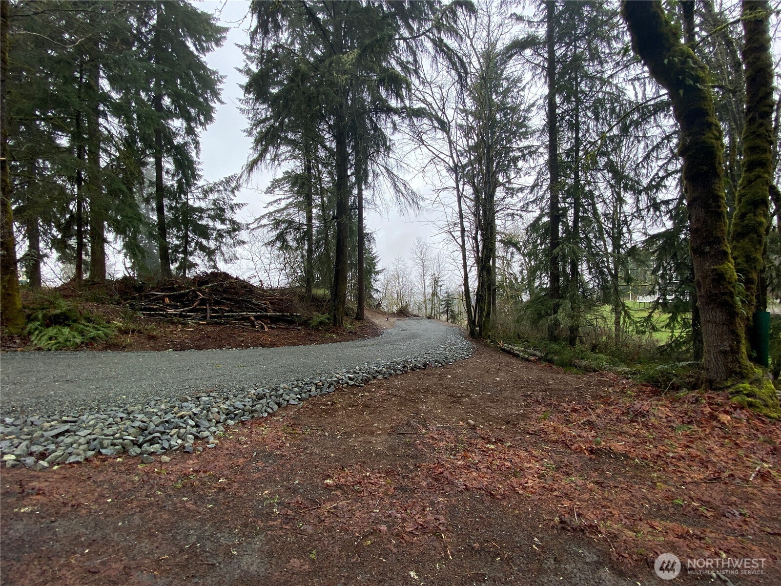 0 238th Avenue East Buckley, WA 98321 - Photo 7 of 31 a view of a yard with large trees