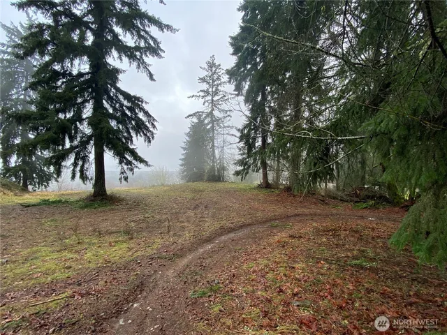 a view of dirt yard with a trees