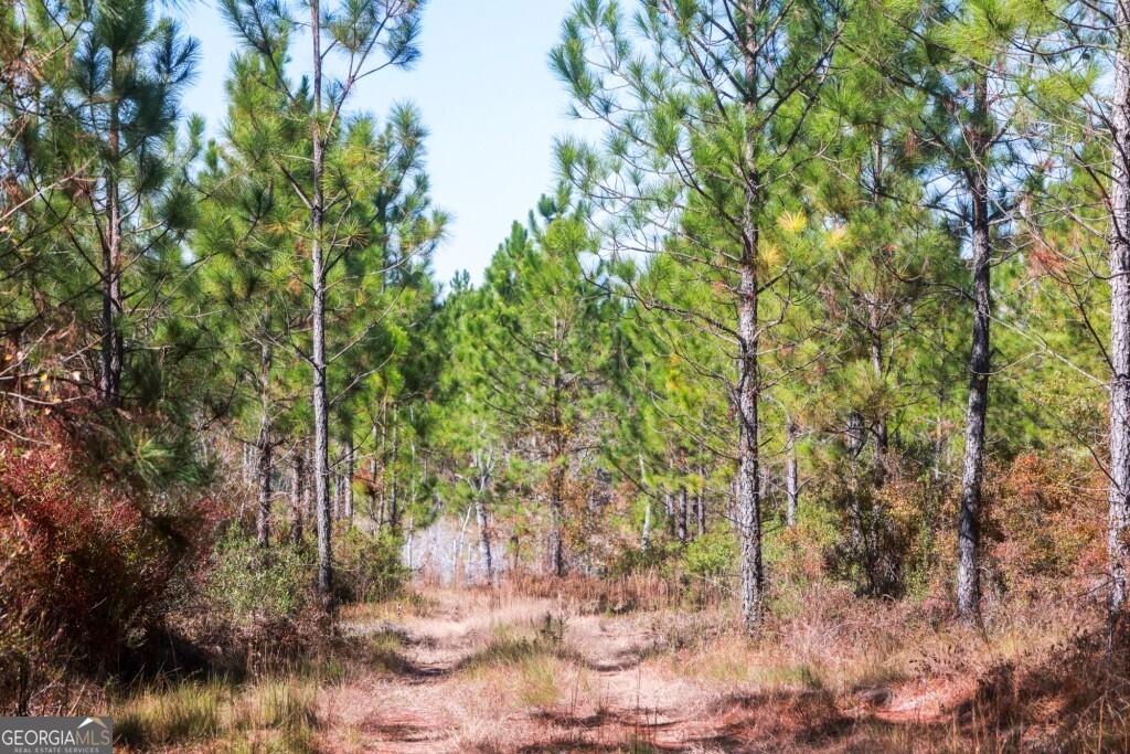 0 Morton Road Dublin, GA 31021 - Photo 19 of 38