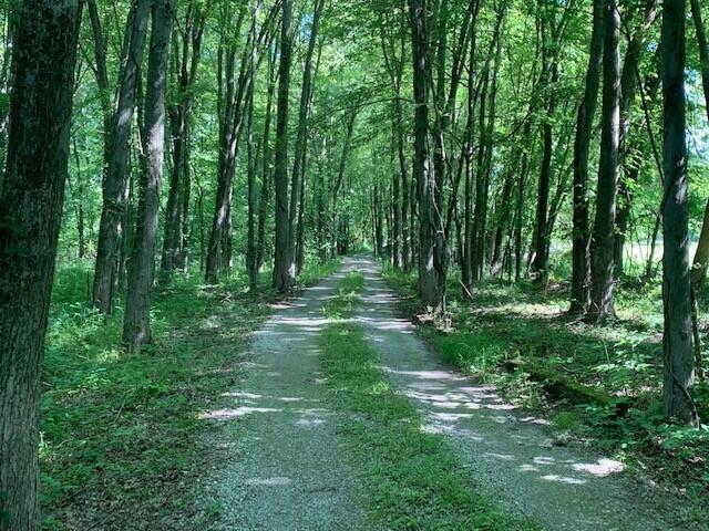 7044 Big Walnut Road Galena, OH 43021 - Photo 28 of 37 28. Gravel Drive