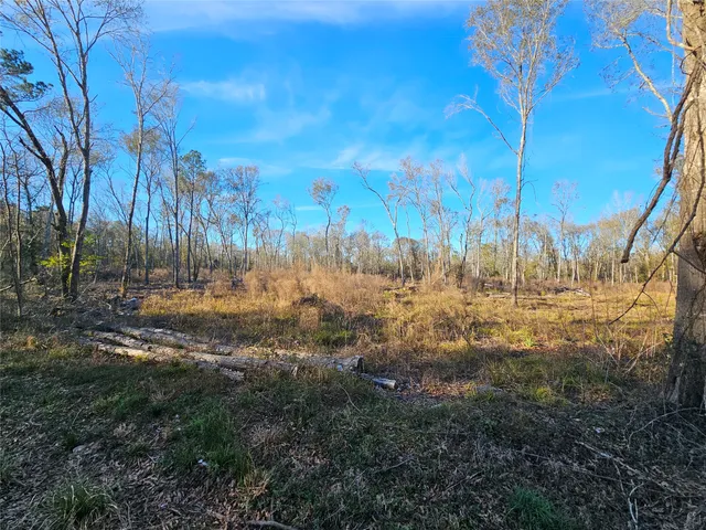 a view of outdoor space and trees