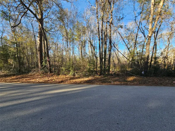 a view of road and trees