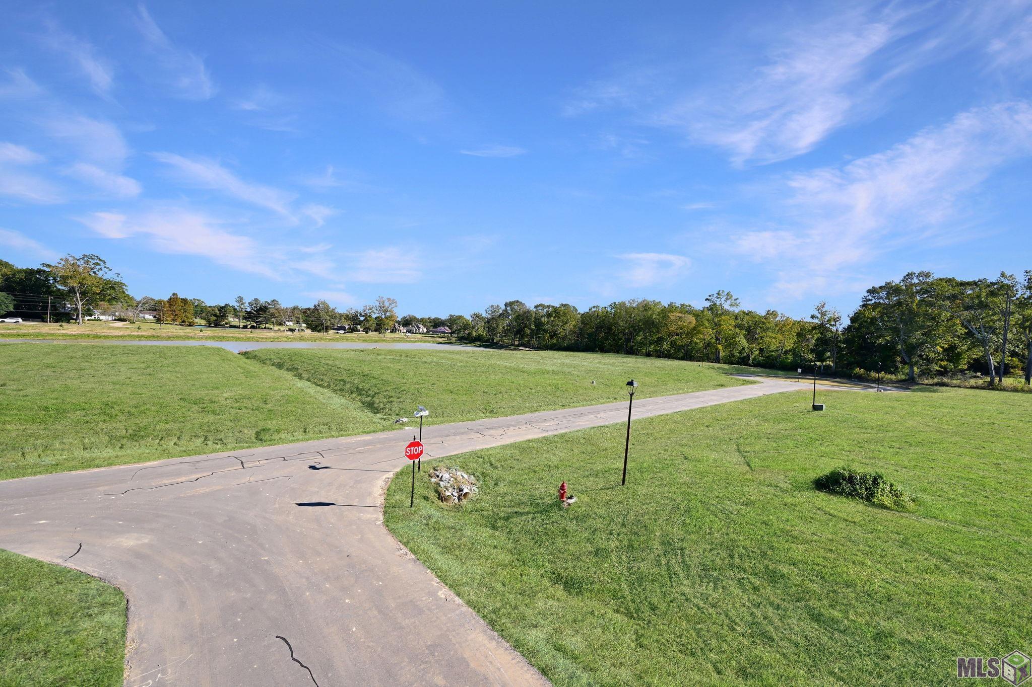 Lot 2 Ruth Avenue Jackson, LA 70748 - Photo 5 of 13 Gallery Image 5