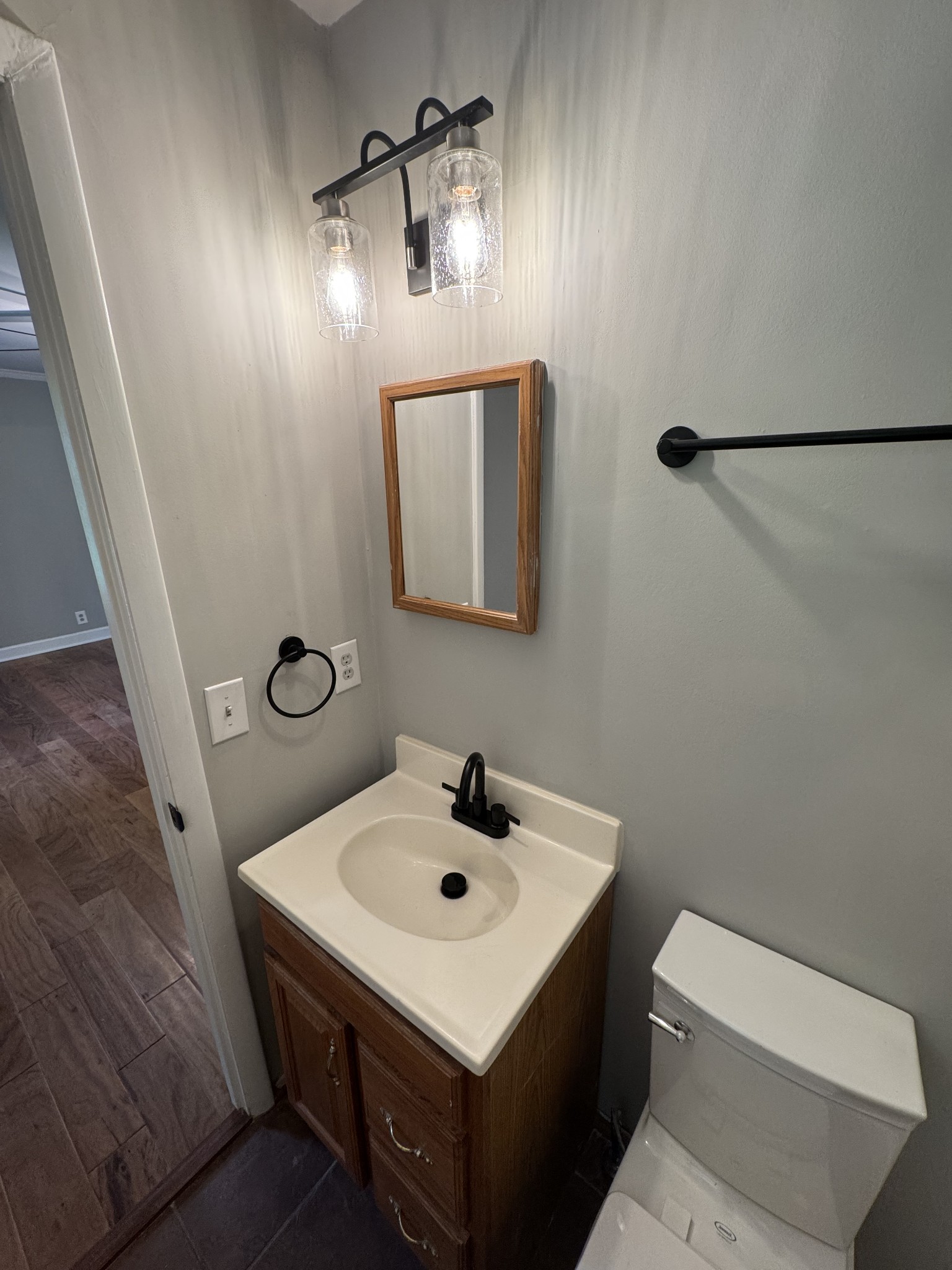 2306 Raspberry Lane Lebanon, TN 37087 - Photo 65 of 100 a bathroom with a sink a toilet and mirror