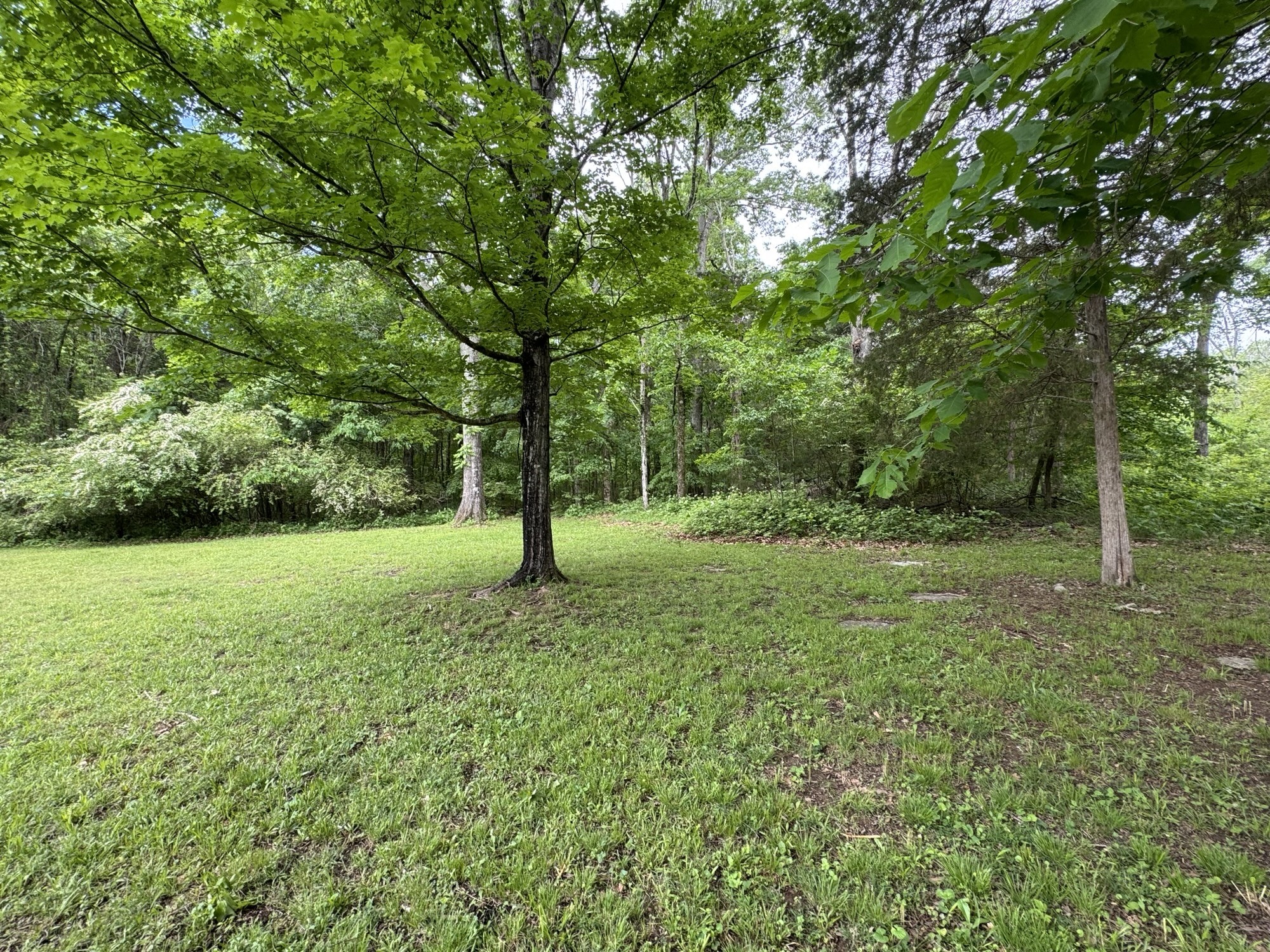 2306 Raspberry Lane Lebanon, TN 37087 - Photo 89 of 100