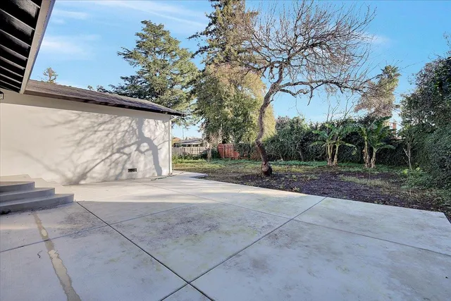 a view of backyard and tree