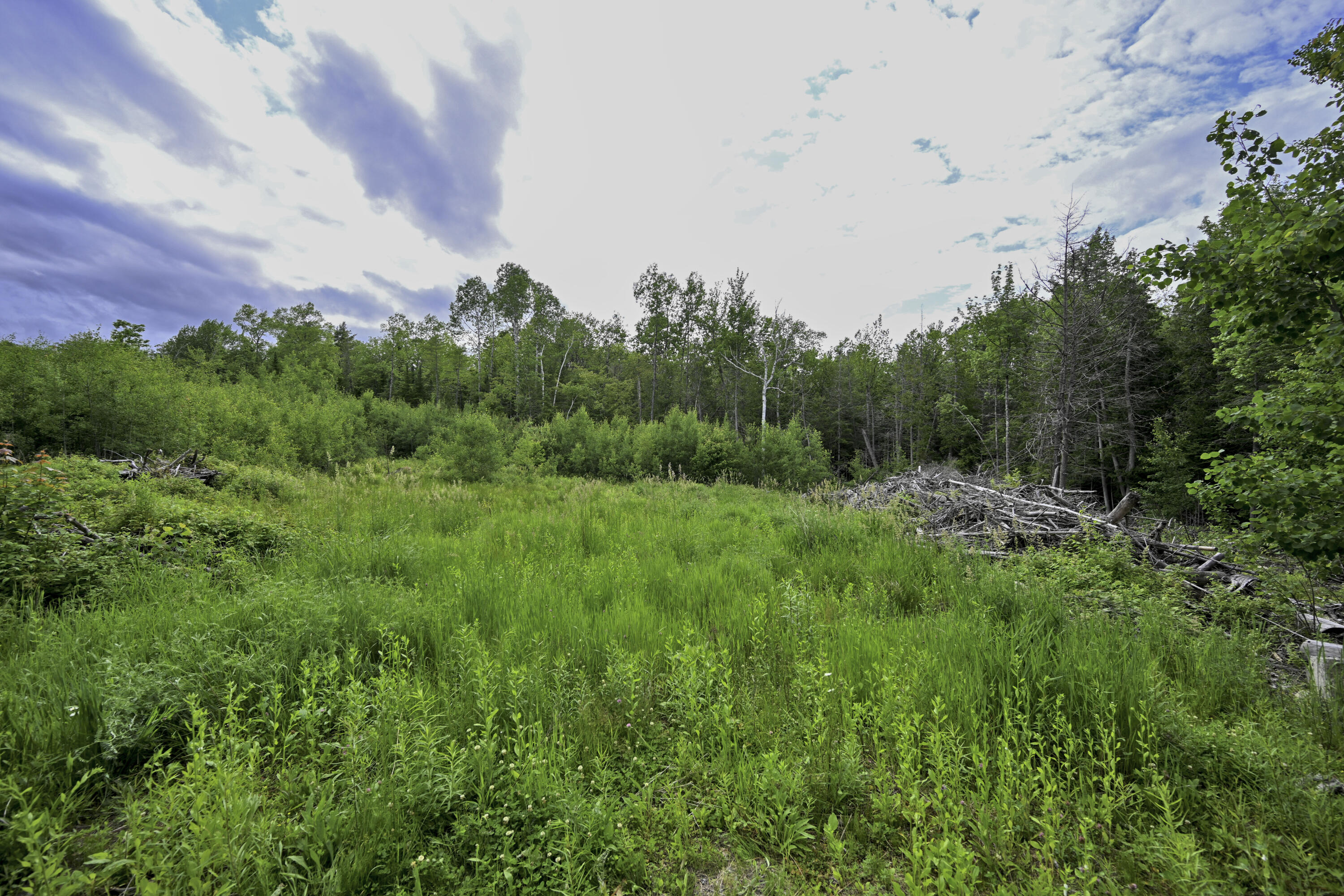 0 Rocky Ledge Road Eddington, ME 04428 - Photo 7 of 12 DSC_1266-Edit copy