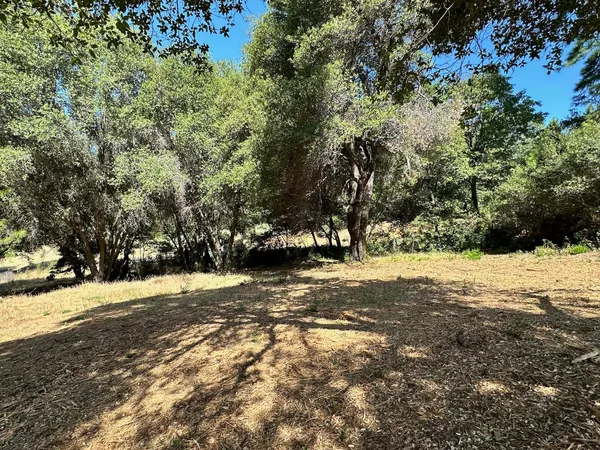 $475,000 | 16705 East Summit View Dr Meadow Vista, Meadow Vista, CA 95722