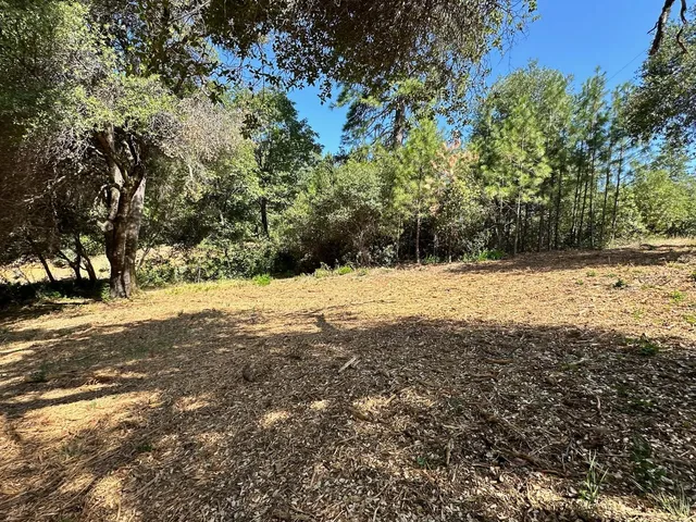 $475,000 | 16705 East Summit View Dr Meadow Vista, Meadow Vista, CA 95722