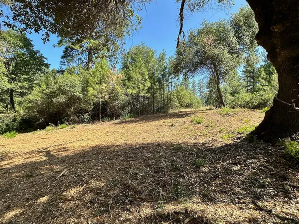 $475,000 | 16705 East Summit View Dr Meadow Vista, Meadow Vista, CA 95722