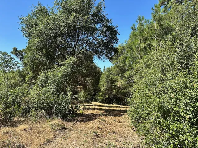 $475,000 | 16705 East Summit View Dr Meadow Vista, Meadow Vista, CA 95722