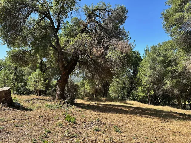 $475,000 | 16705 East Summit View Dr Meadow Vista, Meadow Vista, CA 95722