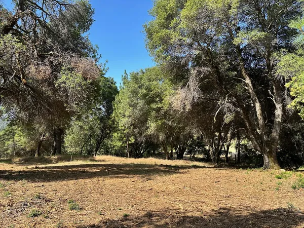 $475,000 | 16705 East Summit View Dr Meadow Vista, Meadow Vista, CA 95722