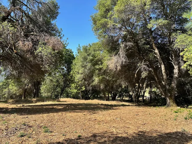 $475,000 | 16705 East Summit View Dr Meadow Vista, Meadow Vista, CA 95722