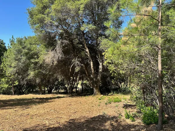 $475,000 | 16705 East Summit View Dr Meadow Vista, Meadow Vista, CA 95722