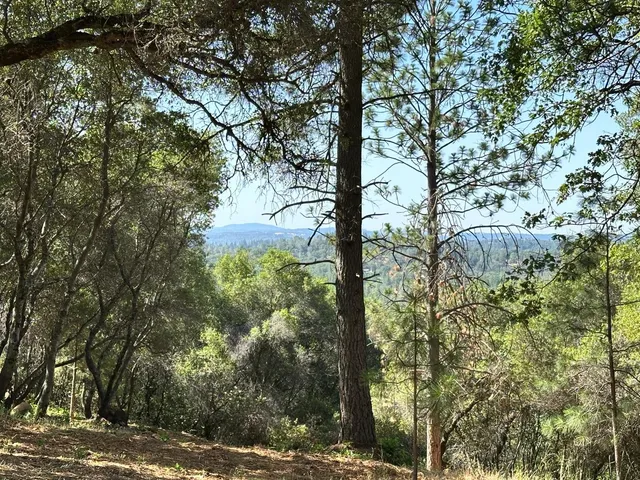 $475,000 | 16705 East Summit View Dr Meadow Vista, Meadow Vista, CA 95722