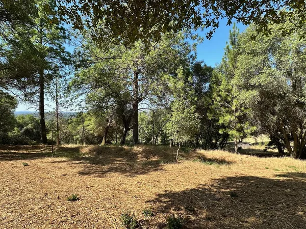 $475,000 | 16705 East Summit View Dr Meadow Vista, Meadow Vista, CA 95722