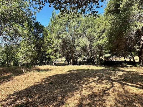 $475,000 | 16705 East Summit View Dr Meadow Vista, Meadow Vista, CA 95722