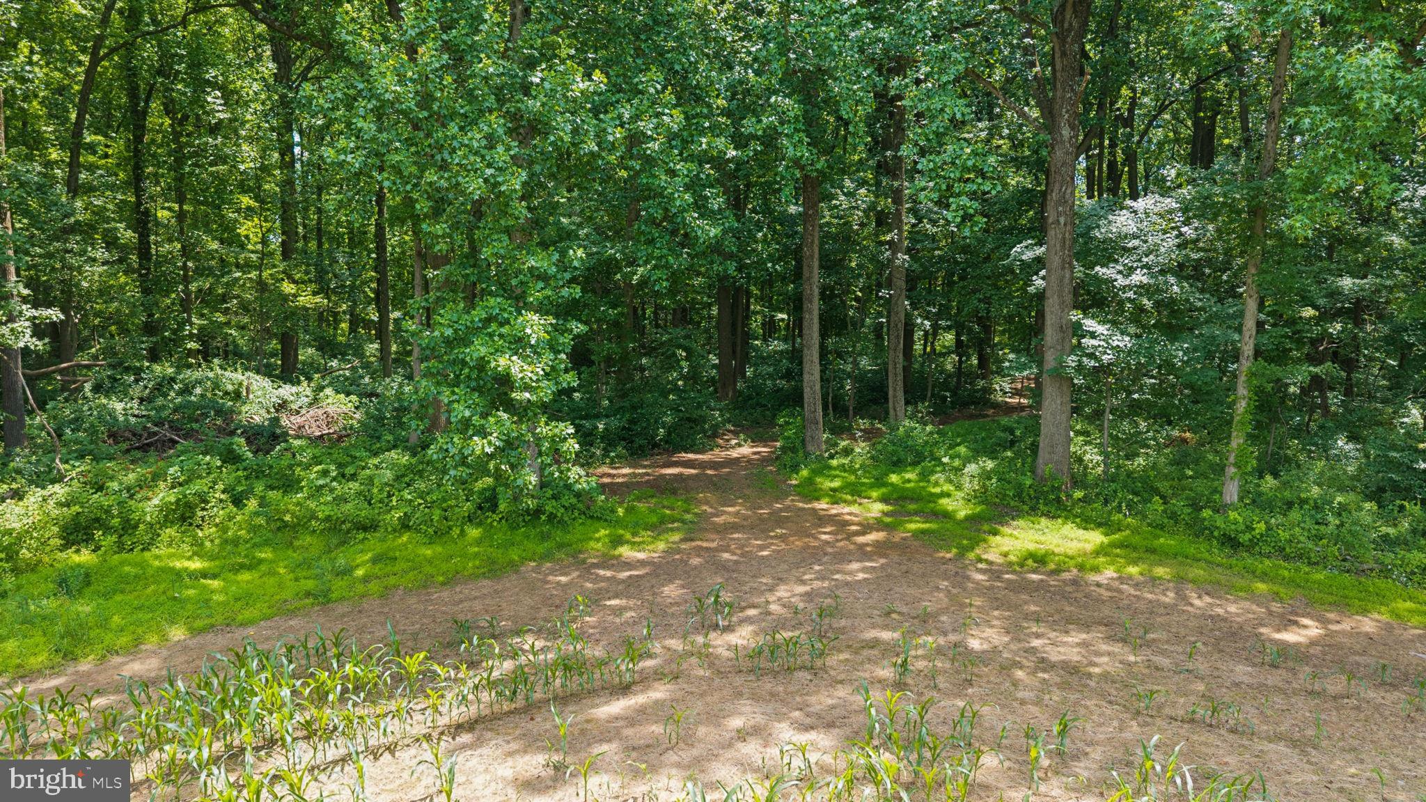 7219 New Cut Road Kingsville, MD 21087 - Photo 24 of 59 Gallery Image 24