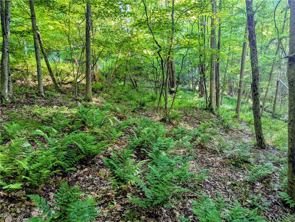 0 Two 2 Mile Road Port Allegany, PA 16743 - Photo 24 of 29