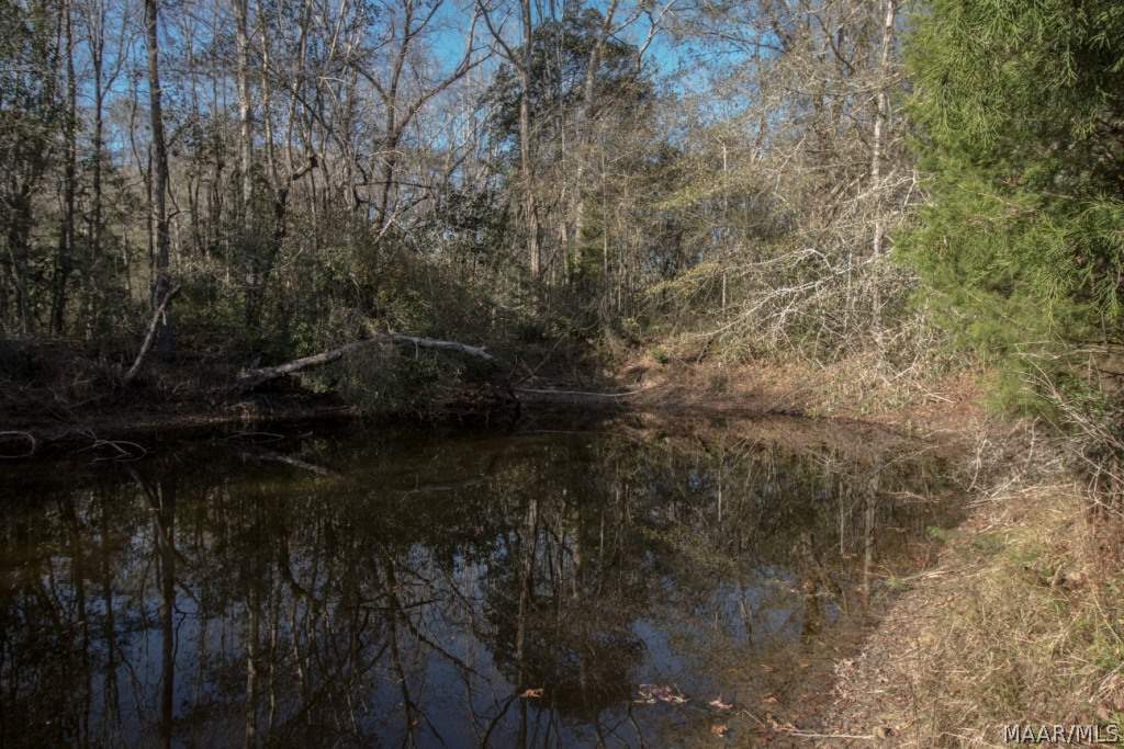 40-acres Austin Road Black, AL 36314 - Photo 22 of 28 Gallery Image 22