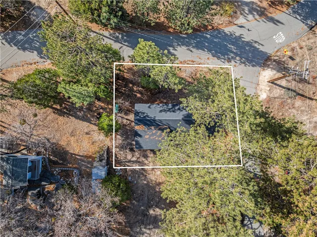 a view of a yard with plants