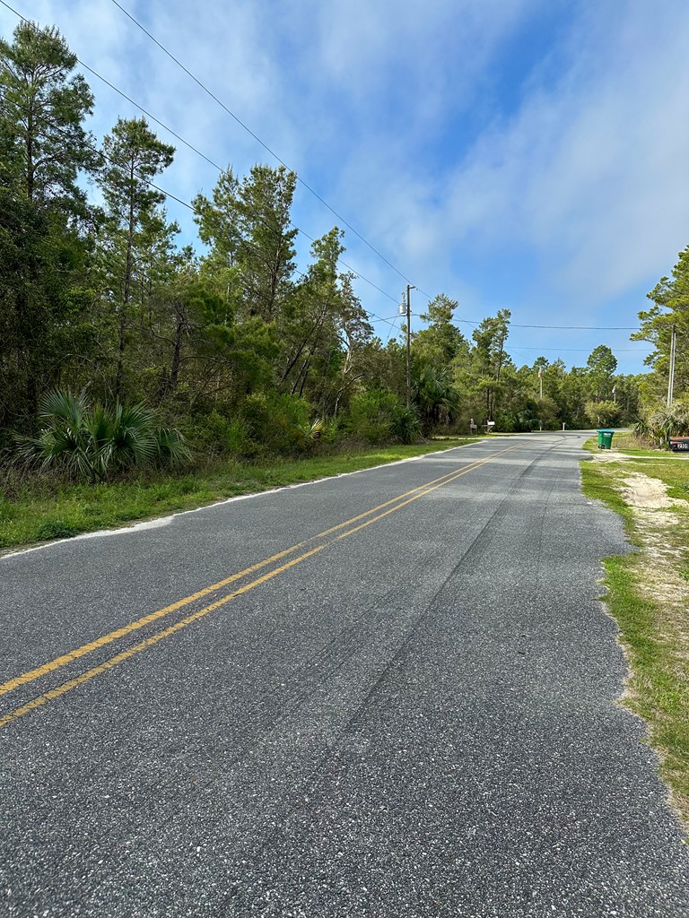 2098 Lighthouse Road Carrabelle, FL 32322 - Photo 3 of 8 Gallery Image 3