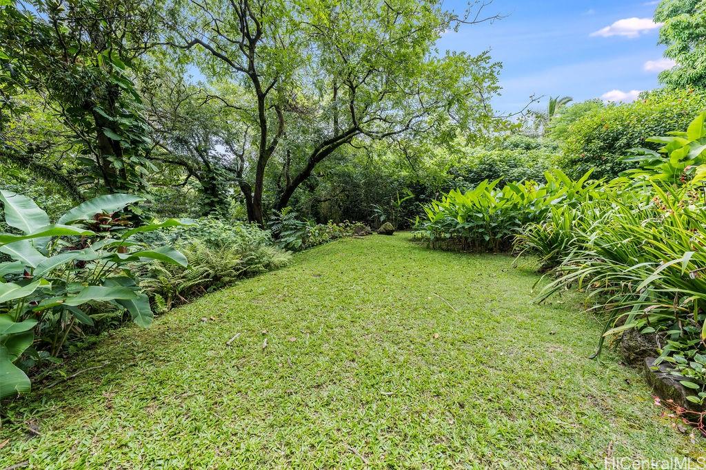 3242 Pelekane Drive Honolulu, HI 96817 - Photo 1 of 25 a view of yard with green space